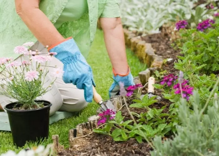 Cómo regar su jardín de manera amigable Cómo regar su jardín de manera amigable