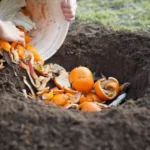 Instrucciones de compostaje [2022]