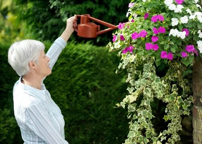Jardinería amigable con el clima Jardinería amigable con el clima