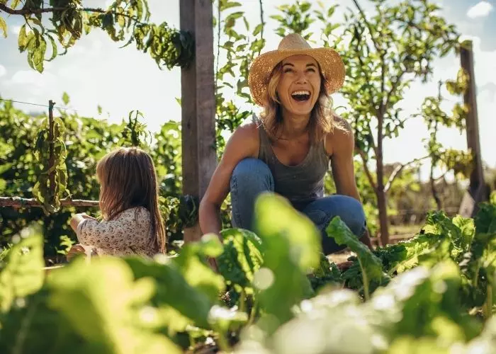 La guía del jardinero amigable con el clima La guía del jardinero amigable con el clima