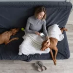 Mi ex me escribe de vez en cuando [2022]