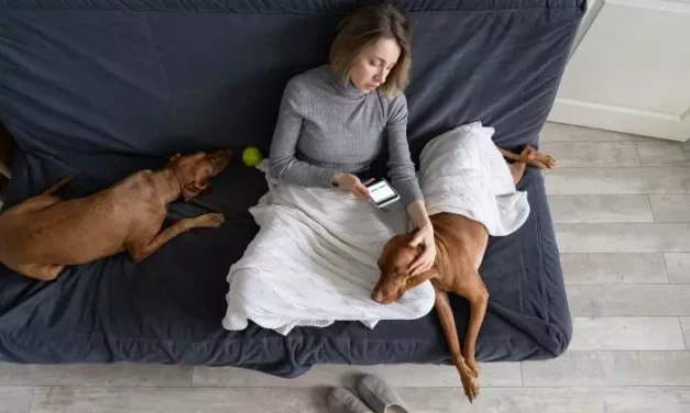 Mi ex me escribe de vez en cuando [2022]