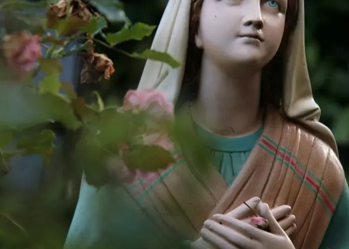 Qué significa soñar con la virgen de Guadalupe Qué significa soñar con la virgen de Guadalupe
