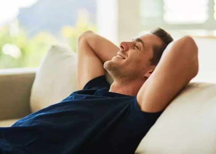 Soñar con pájaros dentro de casa Soñar con pájaros dentro de casa